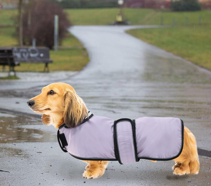 Geyecete Hunde Regenmantel,Einstellbar Wasserdicht Hundejacke für Dackel,Regenmantel mit reflektiere