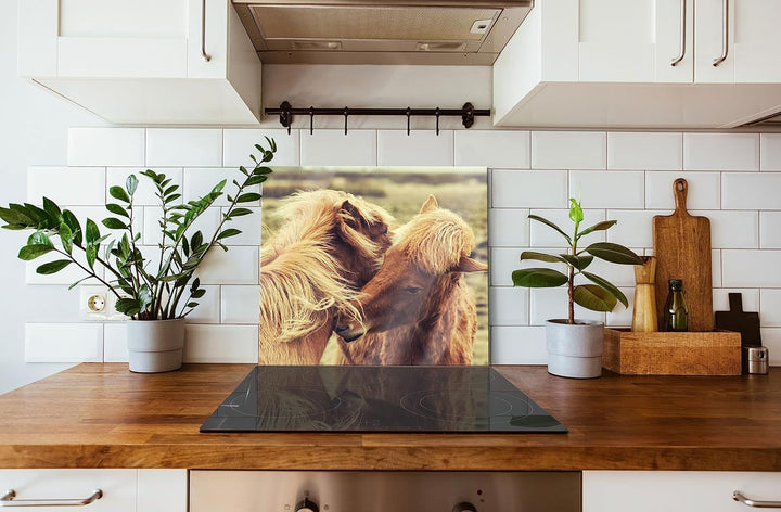 Islandpferde Pony Herdabdeckplatte & Spritzschutz aus Echtglas | Für Herd-Kochfelder | 60x52 cm
