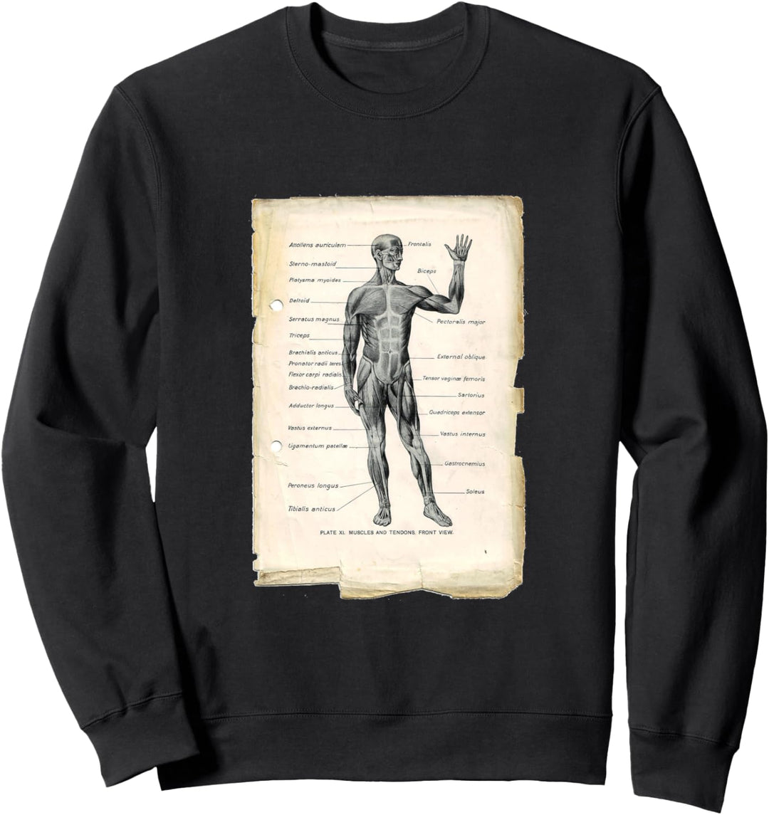 Vintage Anterior Anatomy Book Page Sweatshirt