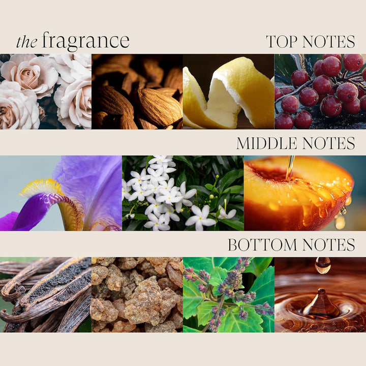 L'ANZA Keratin Healing Oil Smooth Down Blow Dry Hairs pray, Effortlessly Calms, Detangles, and Reduc