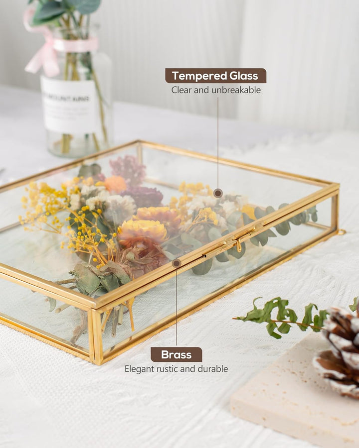 Schattenbox-Rahmen 8x10, Tiefe Glas-Schattenbox-Vitrine, 3D-Schattenboxen, Bilderrahmen für selbstge