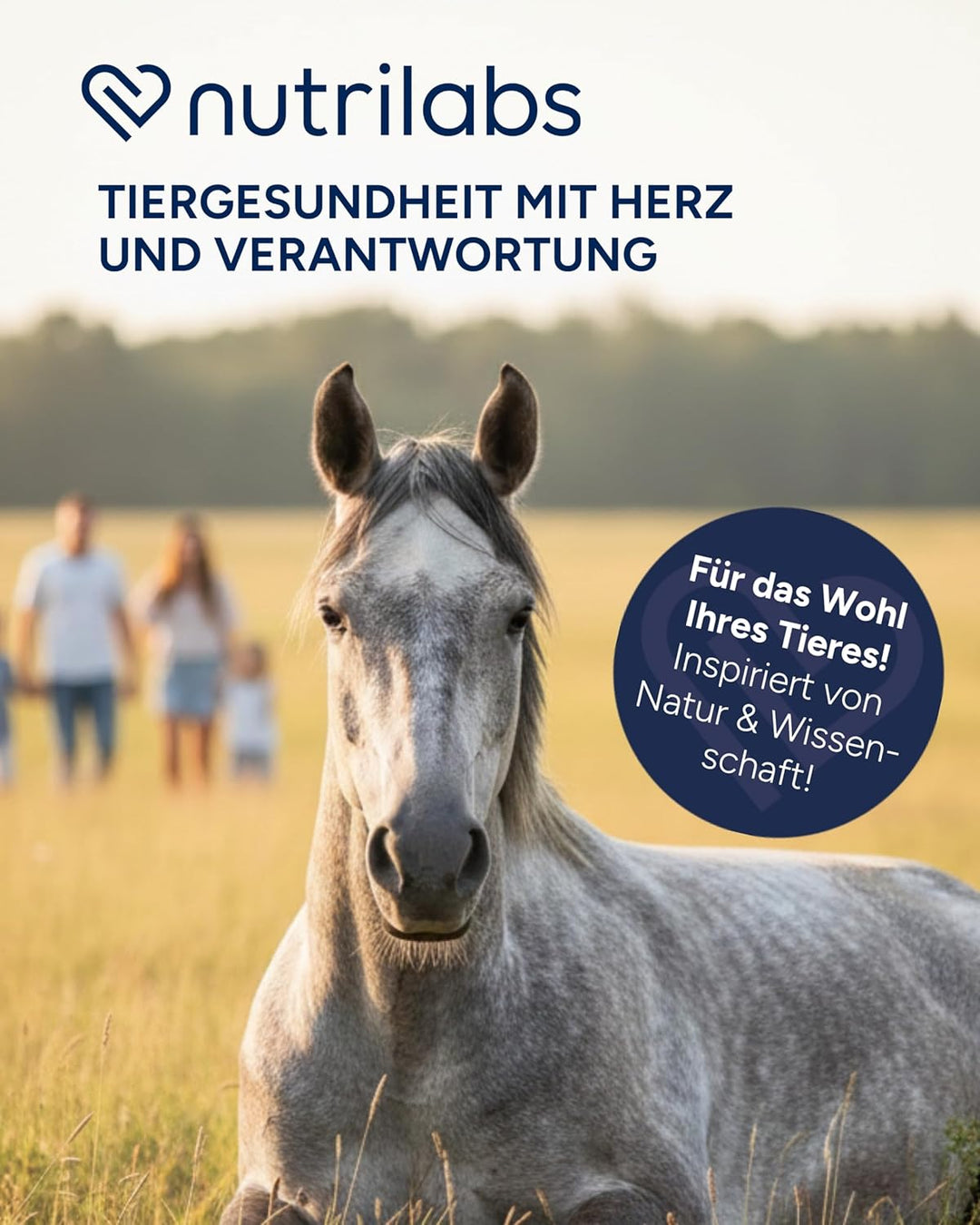 NutriLabs Vitamin E, Selen & Lysin Pulver zur Unterstützung des Muskelaufbaus bei Sportpferden, 3,0