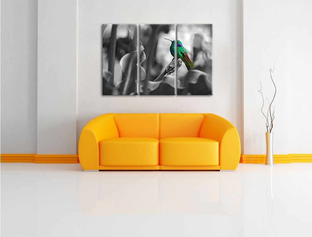 Pixxprint Kolibri in seinem natürlichen Lebensraum B&W Detail 3-Teiler Leinwandbild 120x80 Bild auf