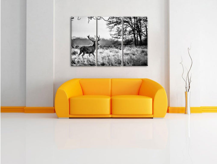 Pixxprint Hirsch im Sonnenuntergang als Leinwandbild/Grösse: 3 Teilig (120x80) cm/Wandbild/Kunstdruc