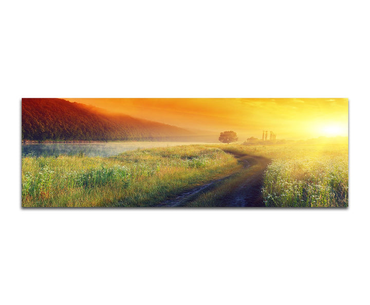 Paul Sinus Art Panoramabild auf Leinwand und Keilrahmen 150x50cm Landschaft Wiese Wald Morgensonne W