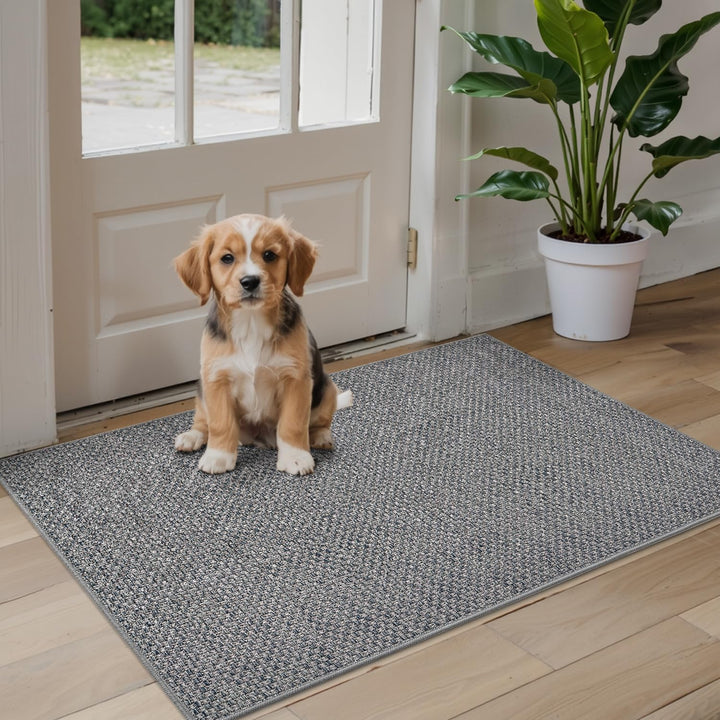 DEXI Schmutzfangmatte Innen 81 x 122 cm, rutschfest Fussmatte waschbar, absorbierend Fussmatte, Dünn