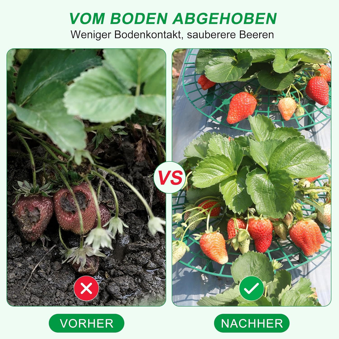 10 Stück Orbicular Erdbeerreifer,Erdbeerstützen Ständer,Schneckenschutz Erdbeerstützen,Schneckenschu
