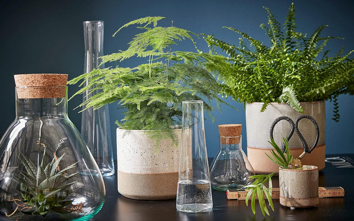 MICA Decorations Decorations Glas Terrarium Glasdose mit Korkverschluss Emily recyceltes Glas transp