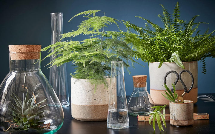 MICA Decorations Decorations Glas Terrarium Glasdose mit Korkverschluss Emily recyceltes Glas transp