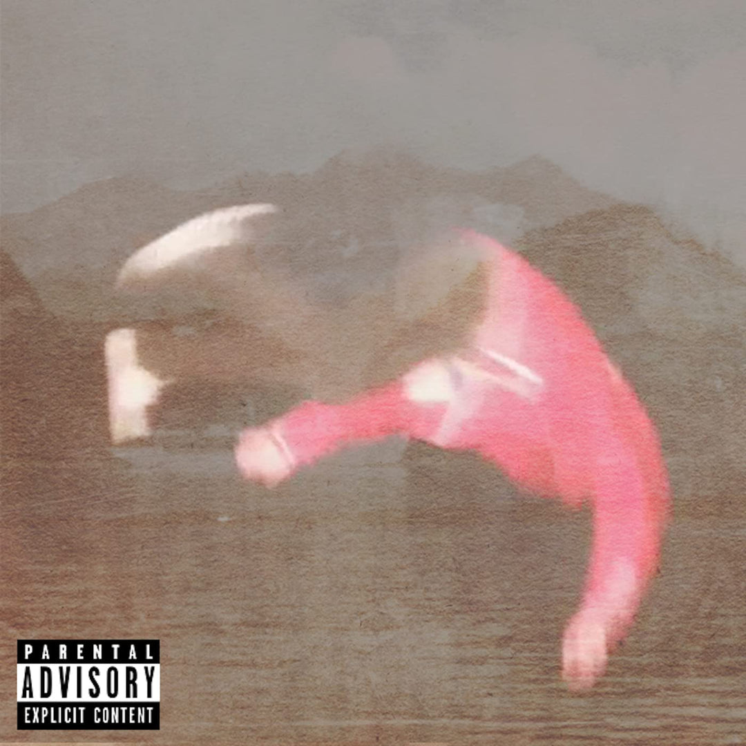 The Singles  explicit_lyrics, Vinyl