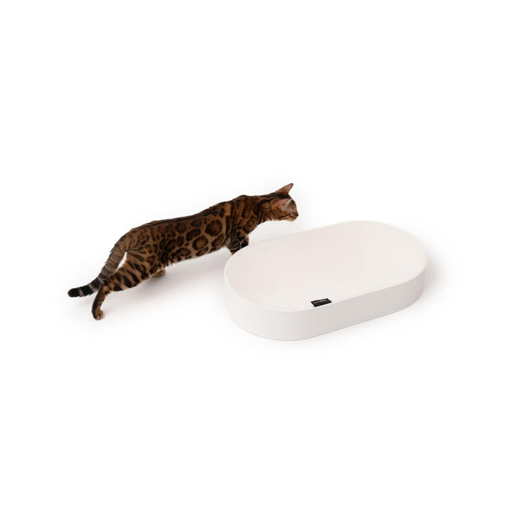 LucyBalu SCRACTHBED Katzenbett & Kratzbaum Katzenbett Kartonbett Kratzbaum Katzenbett weiss, wei