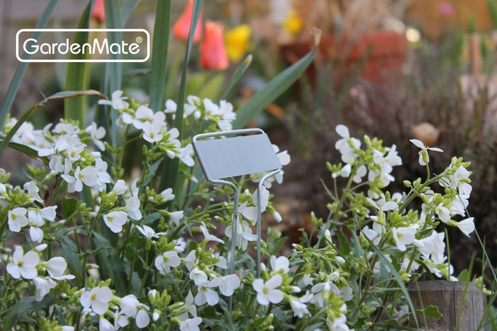 GardenMate® 25er Set Pflanzschilder Banner aus Metall, Banner