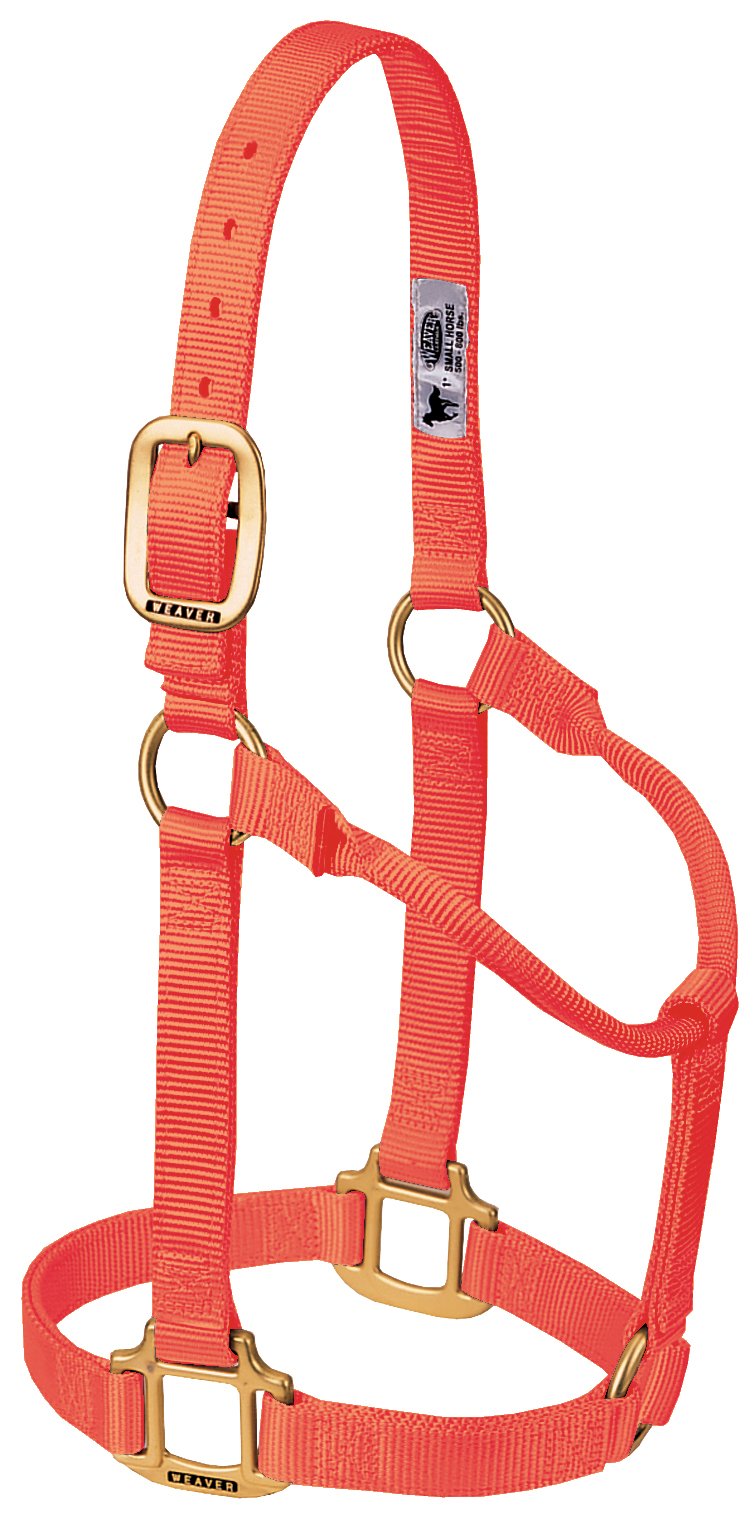 WEAVER Leather, Nicht verstellbares Halfter blaze orange Average Horse, blaze orange Average Horse