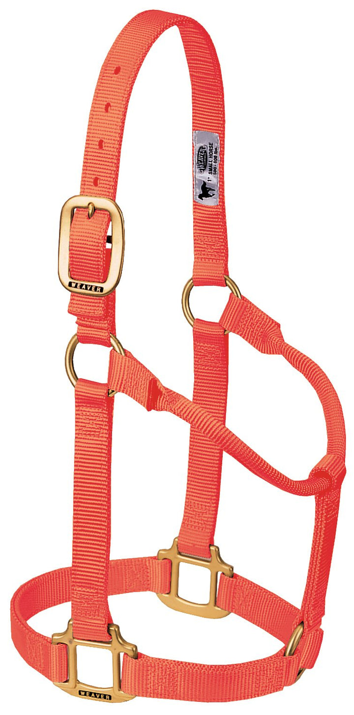 WEAVER Leather, Nicht verstellbares Halfter blaze orange Average Horse, blaze orange Average Horse