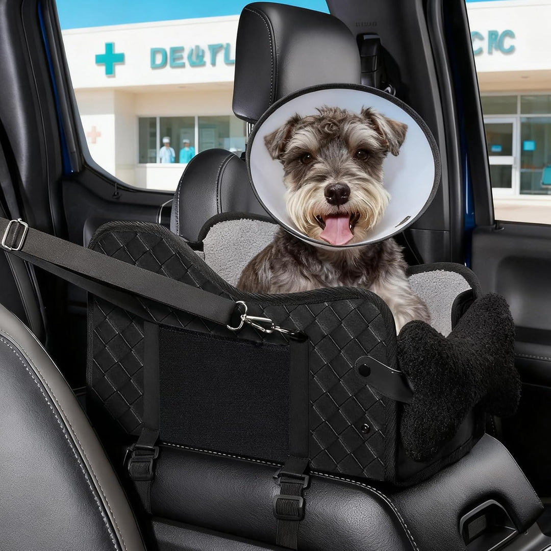 Hunde Autositz, Hundesitz Auto, für kleine bis mittlere Hunde, Rutschfester Hundeautositz mit Sicher