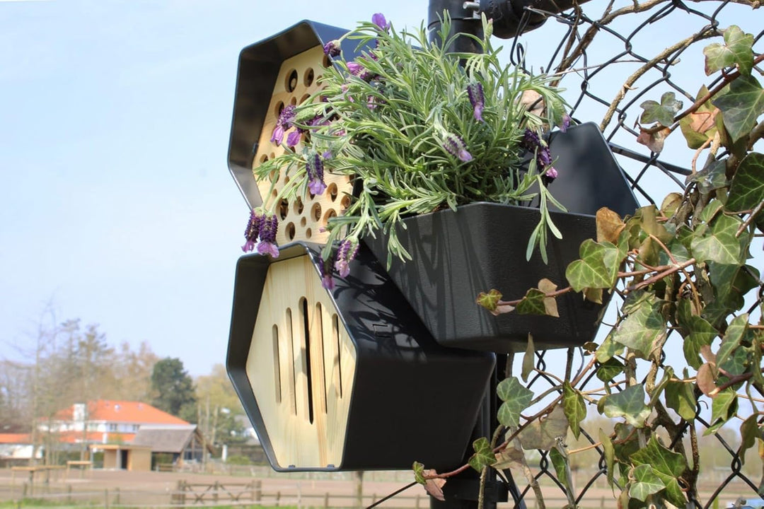 Capi Europe - Schmetterlingshaus Hive - 19x23x20 - Anthrazit - CAPI Biodiversity Hive - AHBUA001 Ant
