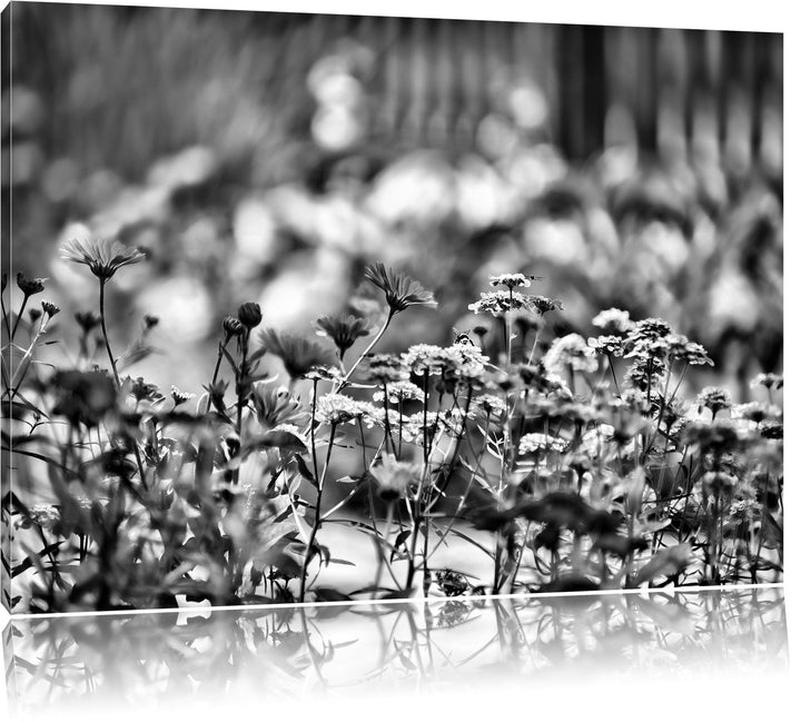 Monocrome, Blumenwiese, Format: 100x70 auf Leinwand, XXL riesige Bilder fertig gerahmt mit Keilrahme