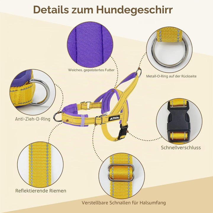 AIITLE Verbessertes Anti-Zug-Hundegeschirr mit weich gepolstertem Griff, Reflektorstreifen und Schne