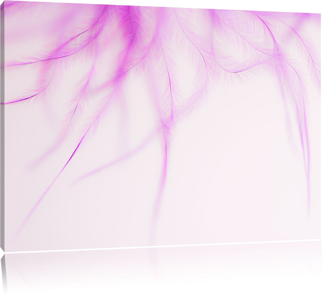 Pixxprint zarte Pinke Federn auf Leinwand, XXL riesige Bilder fertig gerahmt mit Keilrahmen, Kunstdr