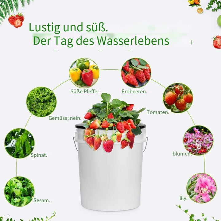 Tectsia 15,2 cm Netztöpfe für 5 Gallonen Eimer breite Deckel (5 Stück), Netzbecher für Hydrokultur E