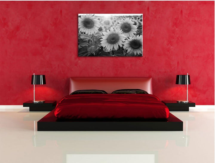 Pixxprint Sonnenblumen auf dem Feld als Leinwandbild | Grösse: 100x70 cm | Wandbild | Kunstdruck | f