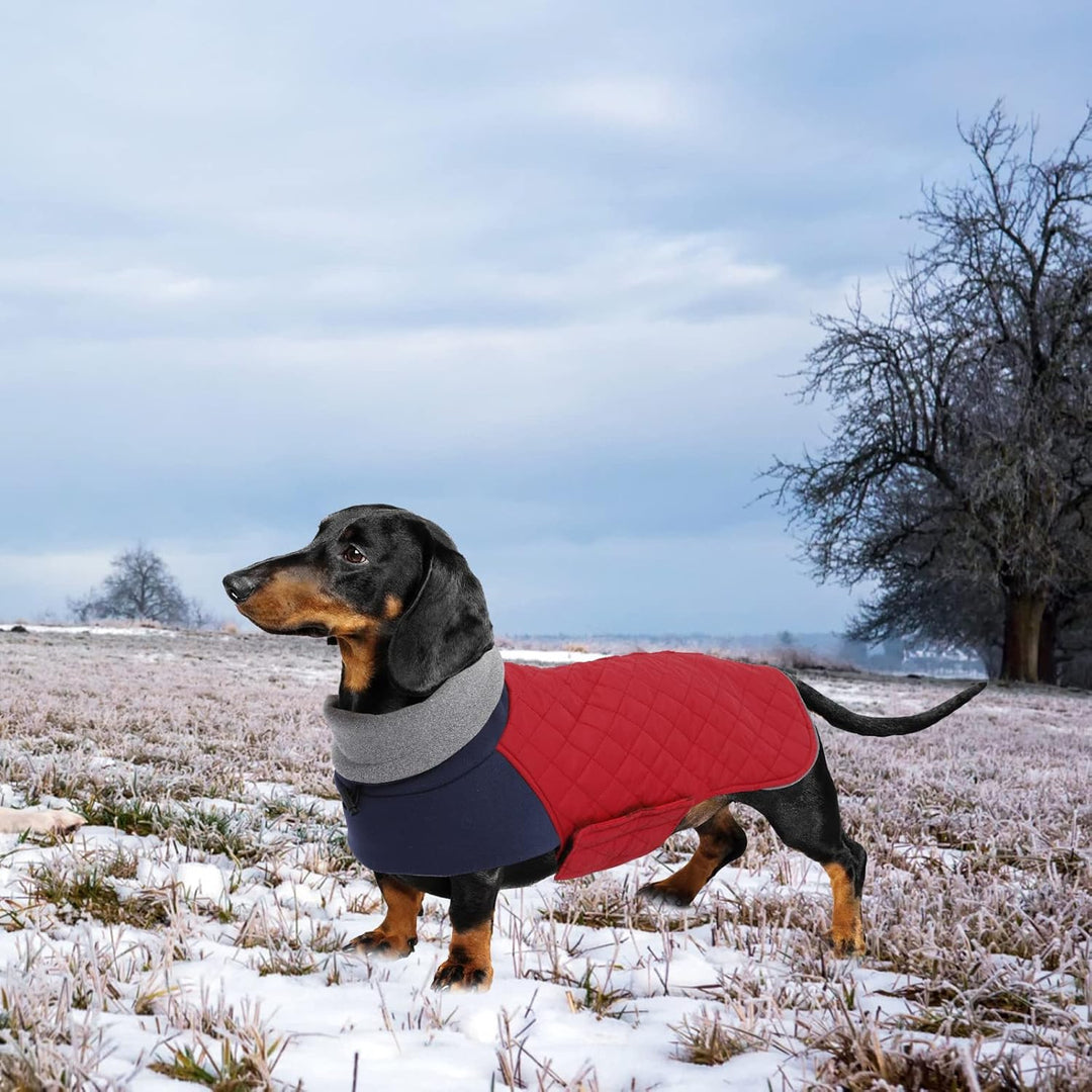 Geyecete Hundemantel Dackel, Dackel Wintermantel, Warmer Quilten Dackelmantel mit Geschirr Loch,Wind