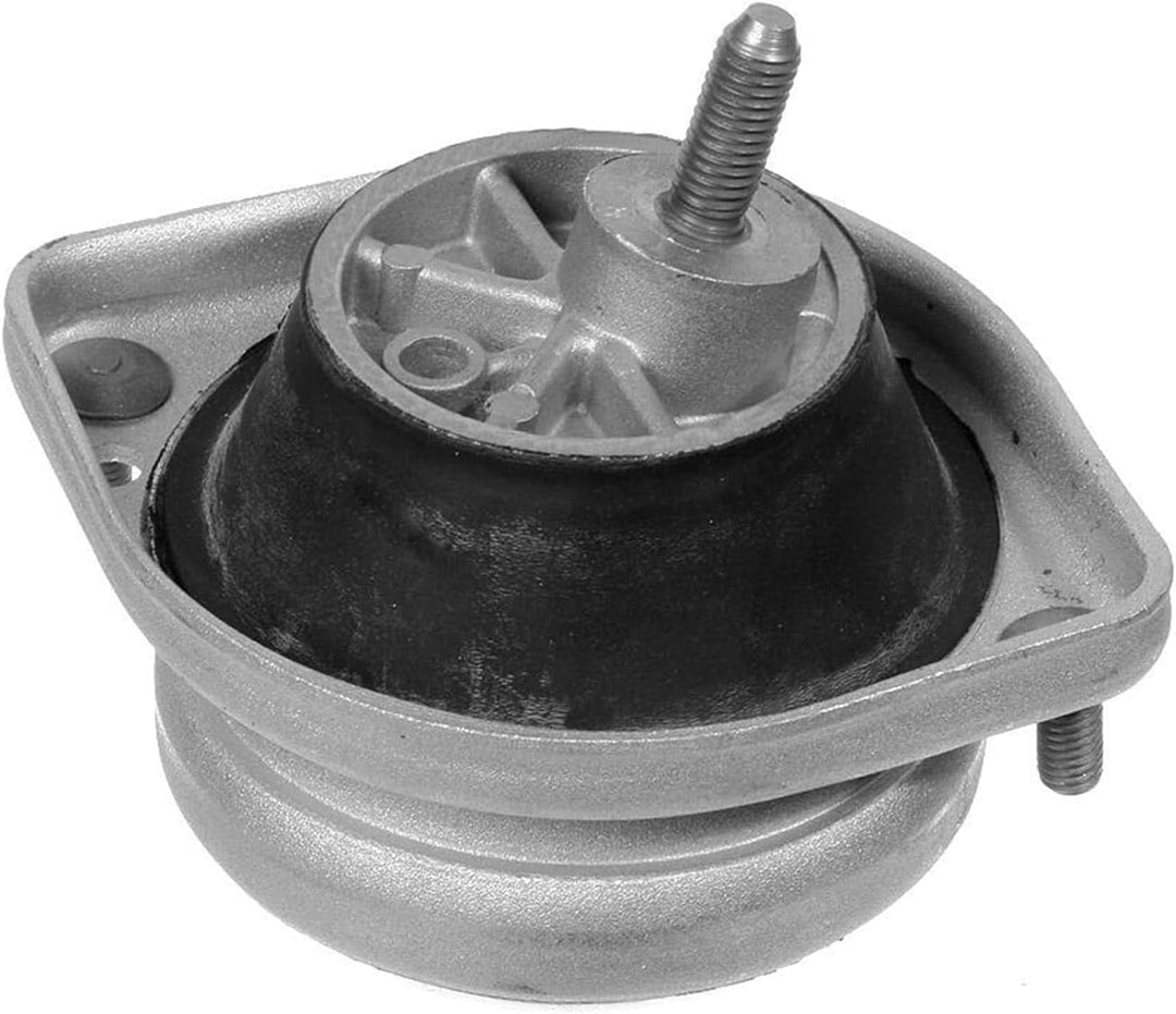 Meyle 300 221 1103 Lagerung, Motor