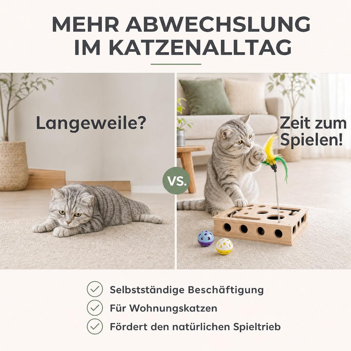 Katzenspielzeug Interaktiv mit Kratzfläche Beschäftigungsspielzeug