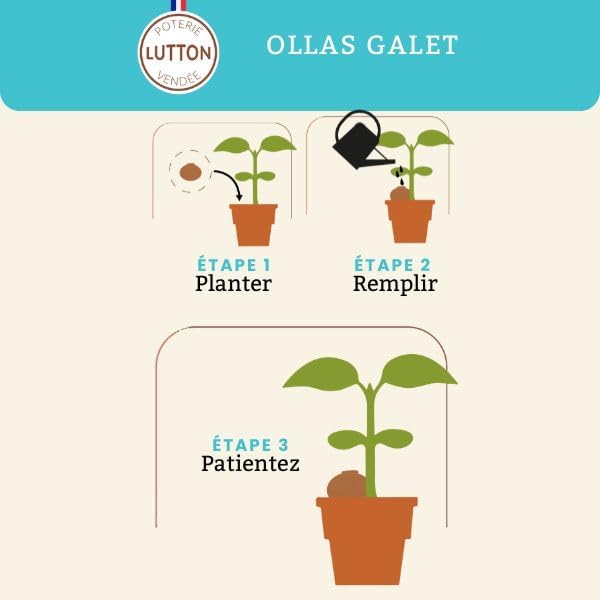 Ollas Kieselstein – natürliches Bewässerungszubehör aus Terrakotta für Topfpflanzen – 15 cl – freist