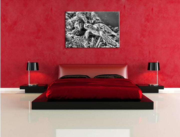 Pixxprint Meeresschildkröte / 100x70cm Leinwandbild bespannt auf Holzrahmen/Wandbild Kunstdruck Deko