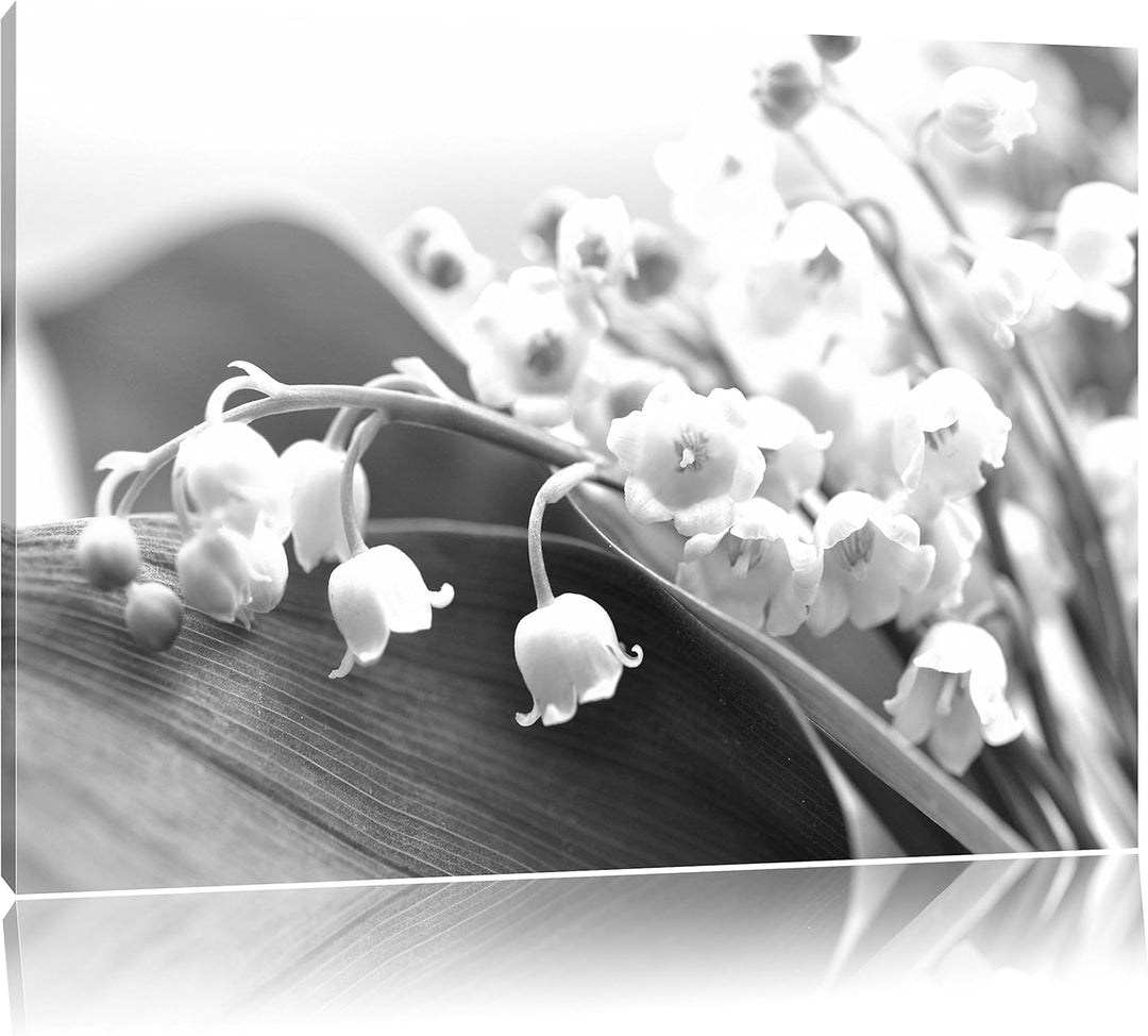 Pixxprint Maiglöckchen Ostern Kunst B&W, Format: 100x70 auf Leinwand, 100x70