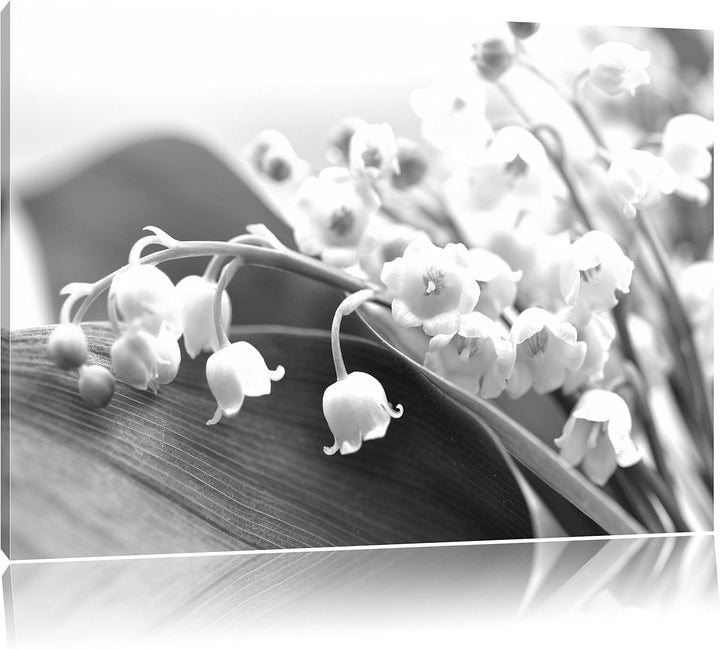 Pixxprint Maiglöckchen Ostern Kunst B&W, Format: 100x70 auf Leinwand, 100x70