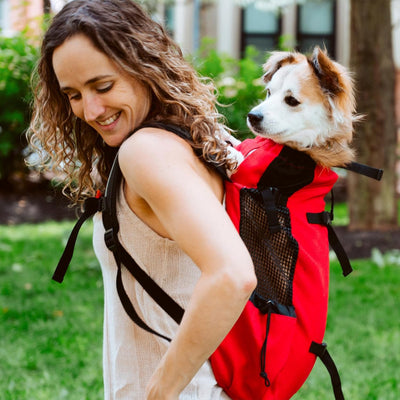 PETCUTE Hundetasche Hundetransporttasche Tragetasche füR Hunde Katzen Wanderrucksack Seite Atmungsak