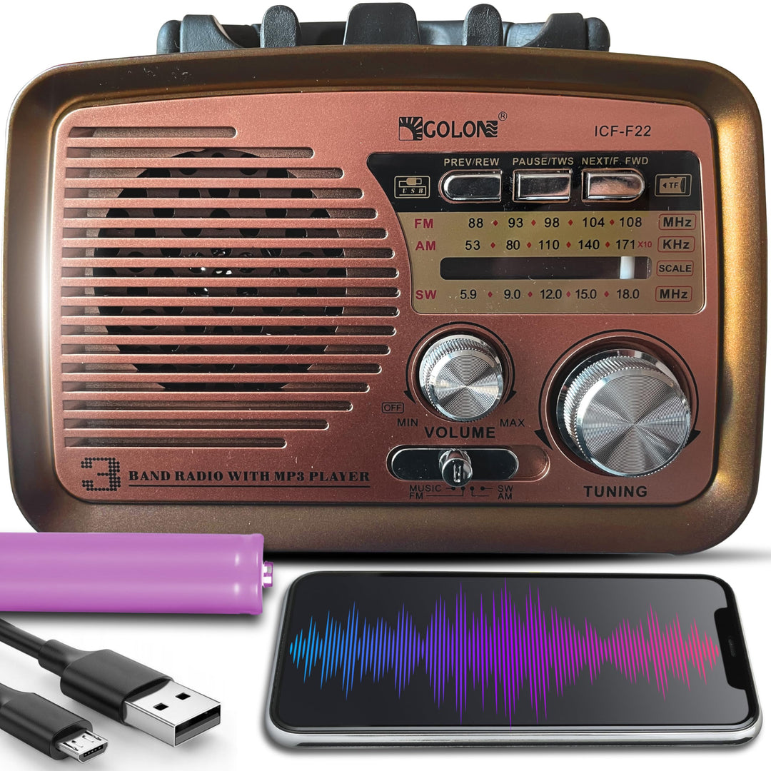 Retoo Radio Bluetooth FM Retro Nostalgie Kofferradio Gehäuse in Holzoptik Vintage Radio Kompaktanlag