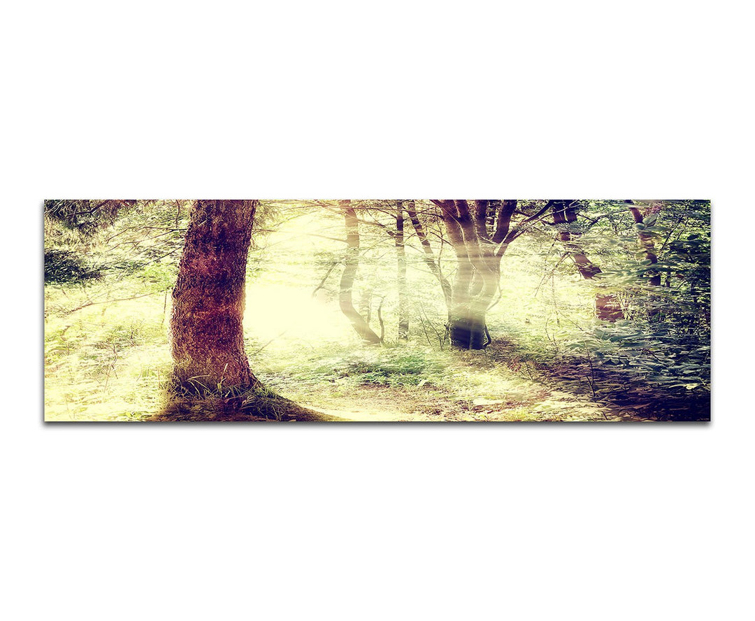 Paul Sinus Art Panoramabild auf Leinwand und Keilrahmen 150x50cm Wald Bäume Sonnenstrahlen Vintage