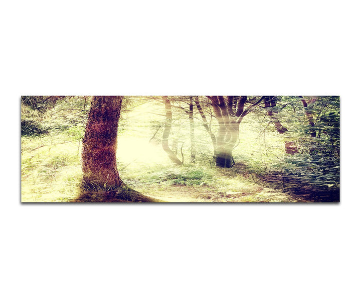 Paul Sinus Art Panoramabild auf Leinwand und Keilrahmen 150x50cm Wald Bäume Sonnenstrahlen Vintage
