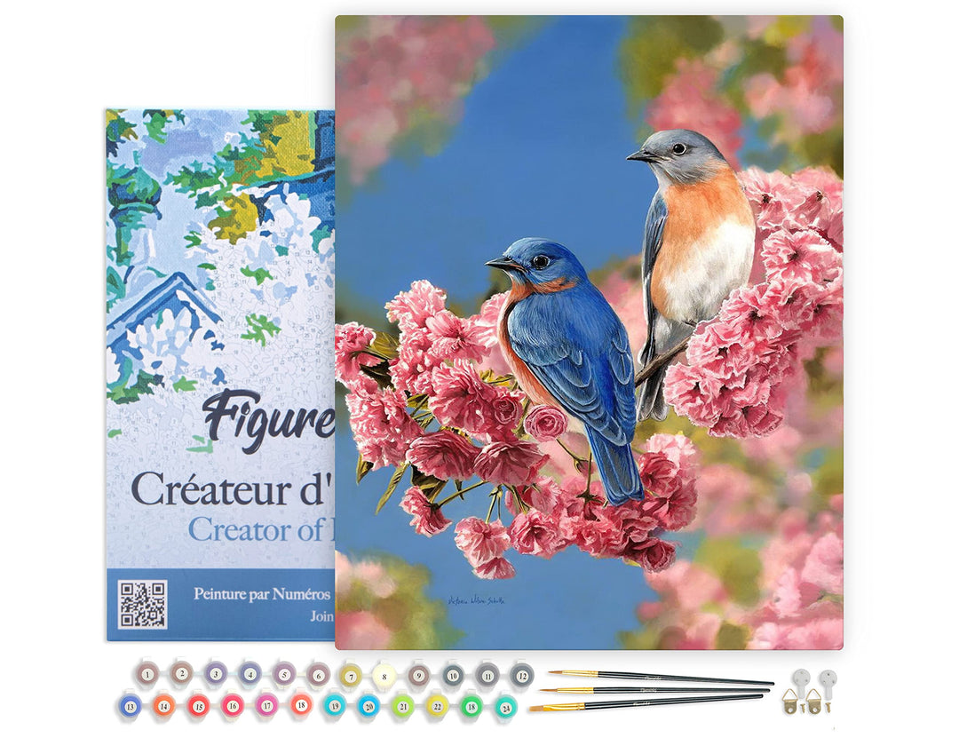 Figured'Art Malen Nach Zahlen Erwachsene Mit Rahmen Blaues Vogelpärchen - Paint by Numbers Basteln D