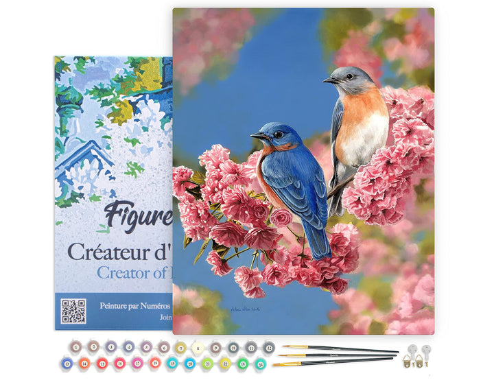 Figured'Art Malen Nach Zahlen Erwachsene Mit Rahmen Blaues Vogelpärchen - Paint by Numbers Basteln D
