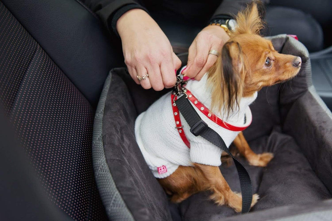 BOUTIQUE ZOO Exclusive Hunde Autositz | Autositz für Hunde, Katzen, Haustier | Rückbank, Beifahrersi