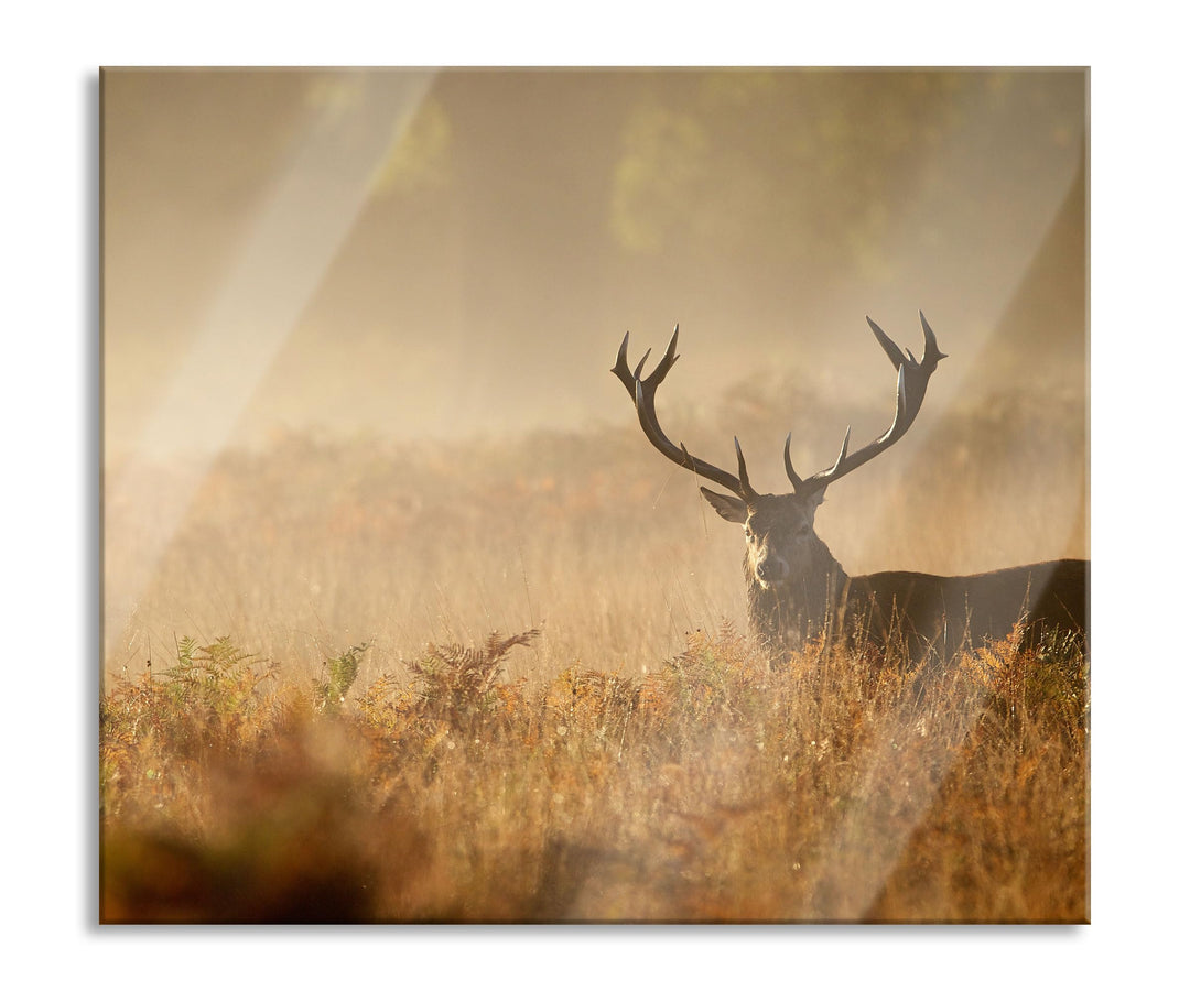 Rotwild Hirsch im Nebel Herdabdeckplatte & Spritzschutz aus Echtglas | Für Herd-Kochfelder | 60x52 c