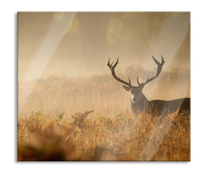 Rotwild Hirsch im Nebel Herdabdeckplatte & Spritzschutz aus Echtglas | Für Herd-Kochfelder | 60x52 c