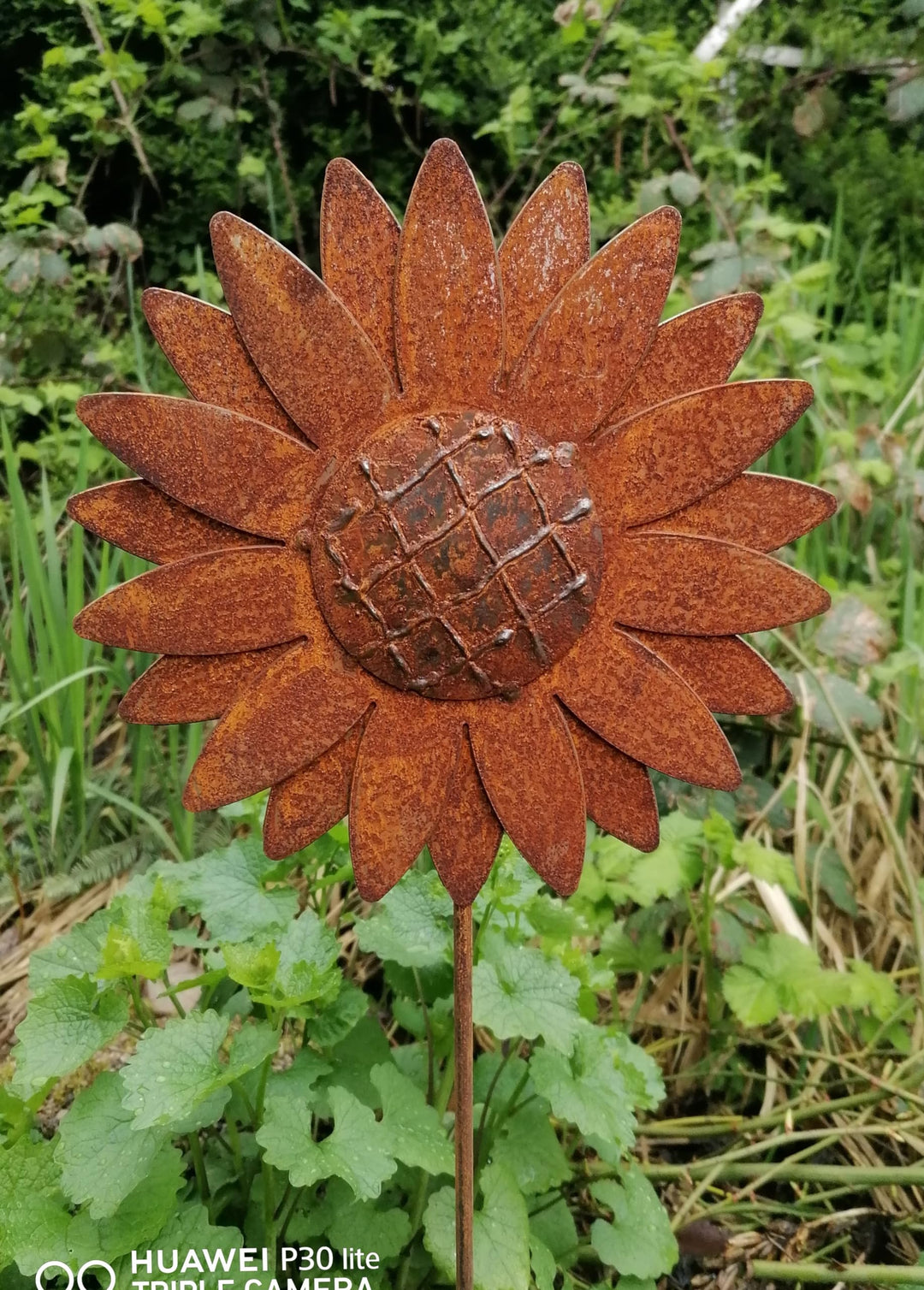 NEU !! Gartenstecker Sonnenblume 80 cm lang aus Metall in Edelrost Rost Dekoration Volleisen Rankhil