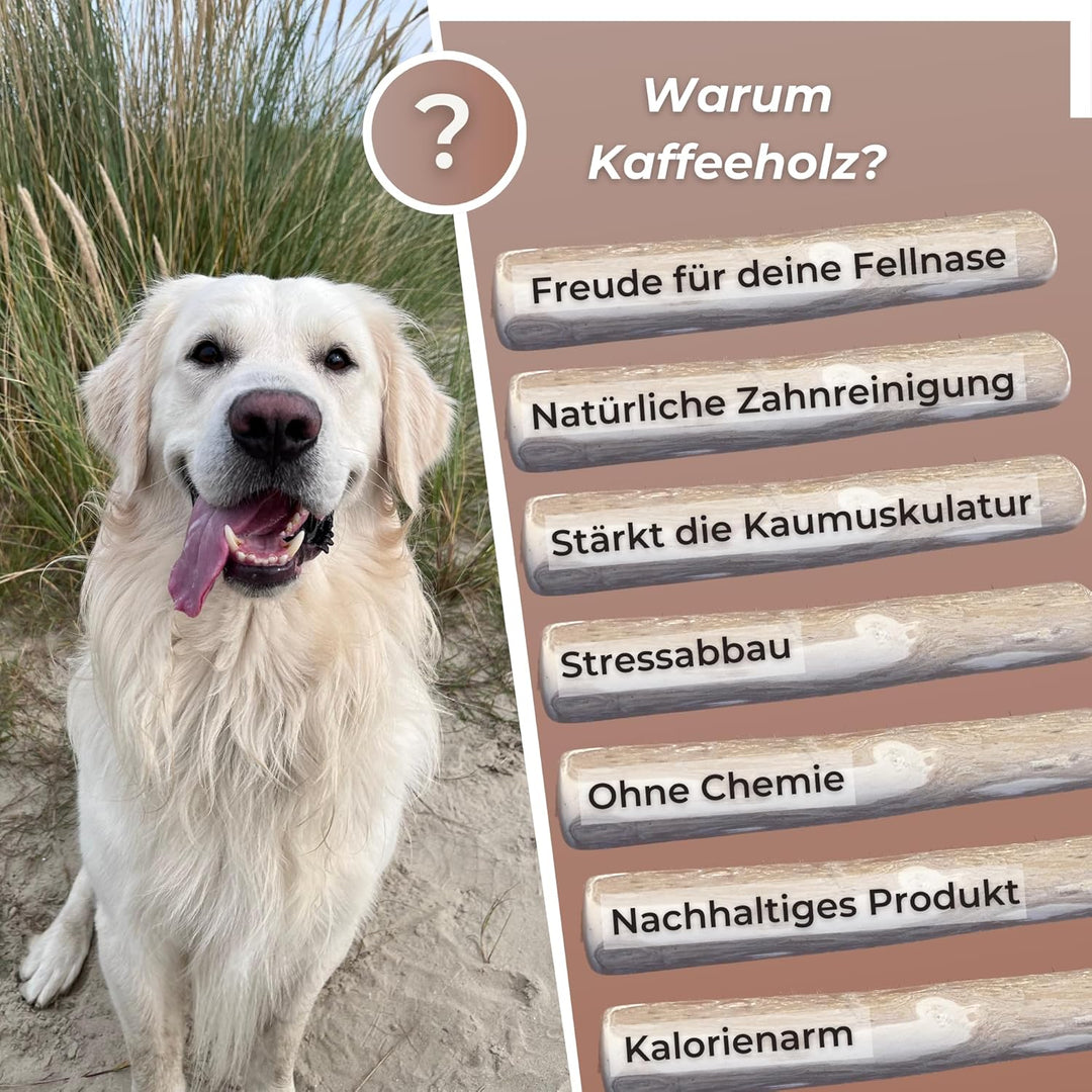 Zoys® Kaffeeholz für Hunde - Natürlicher Kauknochen für Hunde in 5 Grössen - Kaustab für Zahnreinigu
