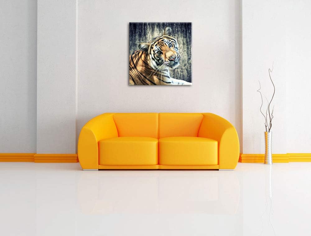 Neugieriger Tiger, Format: 70x70 auf Leinwand, XXL riesige Bilder fertig gerahmt mit Keilrahmen, Kun