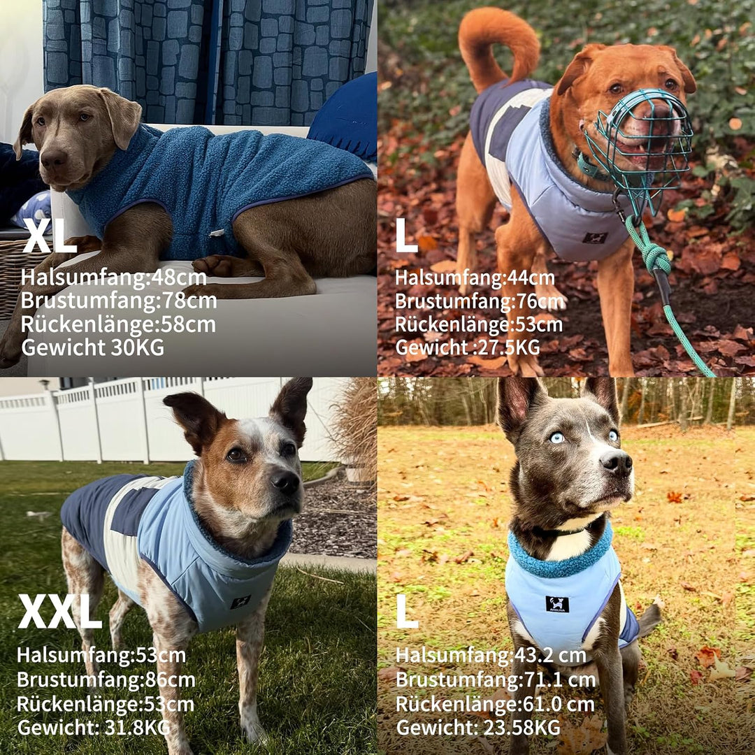Arblina Hundemantel, Wasserdichter Wintermantel Hund mit Fleece-Futterung für Mittelgrosse &amp; Grosse