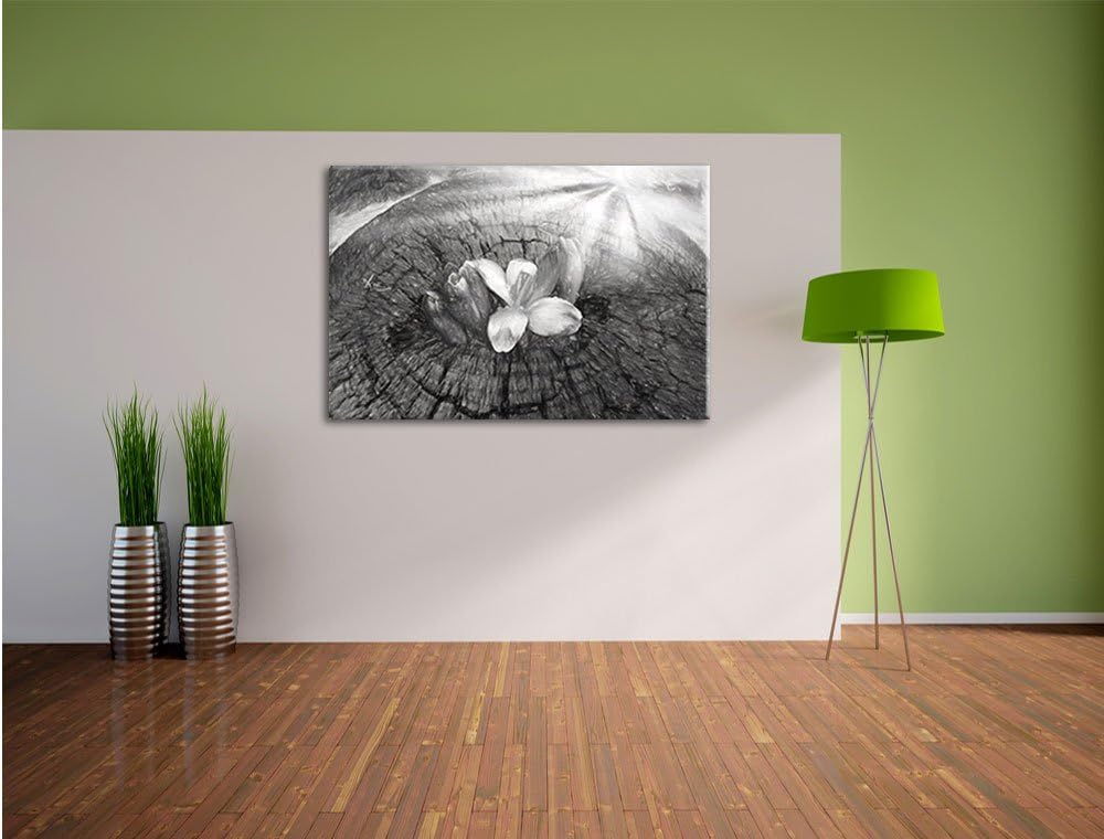 Pixxprint Die Kraft der Natur Kunst als Leinwandbild/Grösse: 100x70 cm/Wandbild/Kunstdruck/fertig be