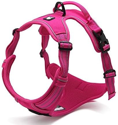 WINHYEPET Truelove Hundegeschirr No-Pull Reflektierendes verstellbar Haustiergeschirr mit 2 Leinencl