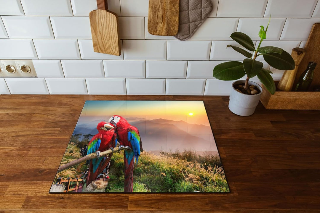 Papageien Pärchen Herdabdeckplatte & Spritzschutz aus Echtglas | Für Herd-Kochfelder | 60x52 cm