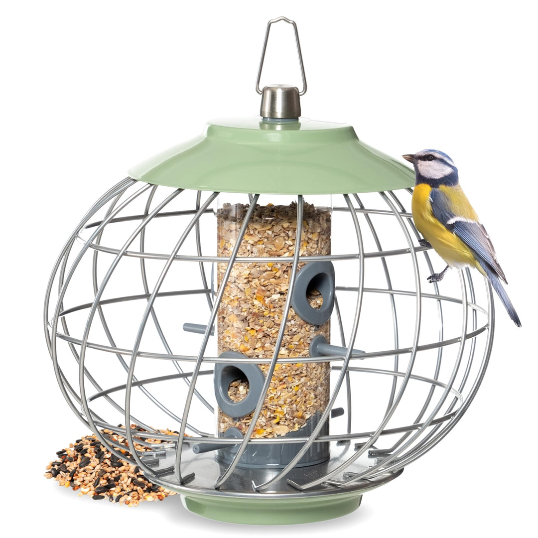 The Nuttery HELD04 Vogel-Futterspender für Eichhörnchen, 24,6 cm H x 27,7 cm B x 27,7 cm D, Celedon,