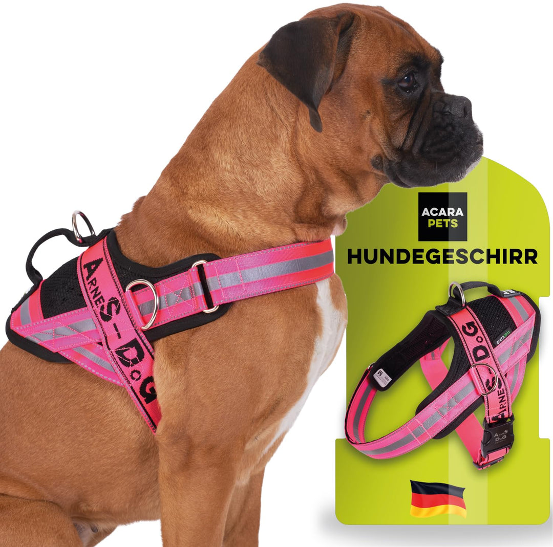 Hundegeschirr mit 3 Metallösen zur Befestigung Ihrer Brust oder Ihres Brustgurts, um Ihren Hals Nich